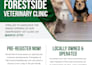 create stunning and high converting flyer design